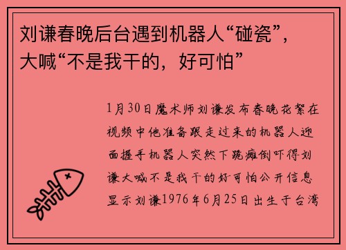 刘谦春晚后台遇到机器人“碰瓷”，大喊“不是我干的，好可怕”