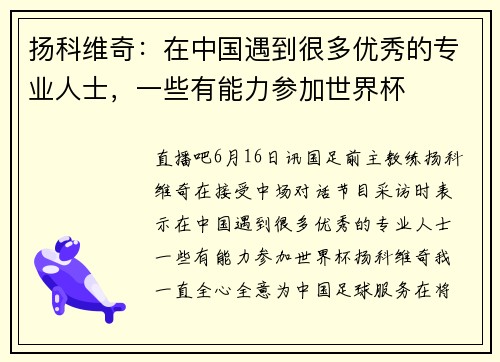 扬科维奇：在中国遇到很多优秀的专业人士，一些有能力参加世界杯