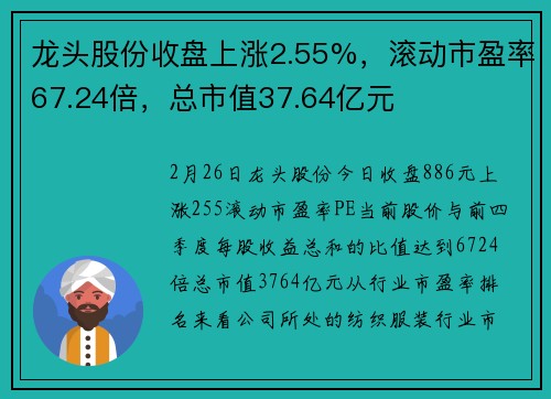 龙头股份收盘上涨2.55%，滚动市盈率67.24倍，总市值37.64亿元