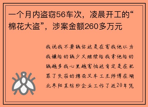 一个月内盗窃56车次，凌晨开工的“棉花大盗”，涉案金额260多万元