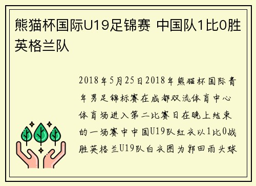 熊猫杯国际U19足锦赛 中国队1比0胜英格兰队