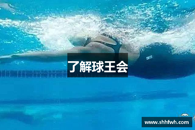 了解球王会